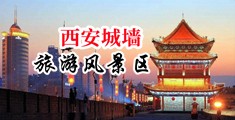 啊啊啊操我呀在线视频中国陕西-西安城墙旅游风景区